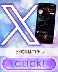 公式X